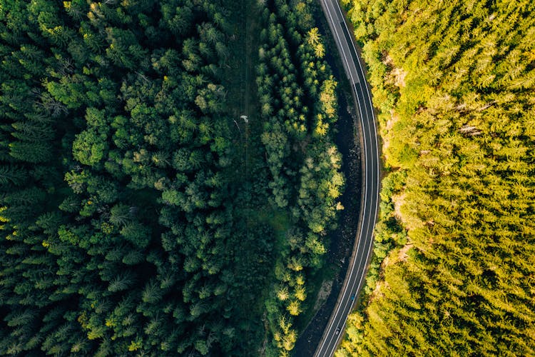 Aerial Photography Of Country Road