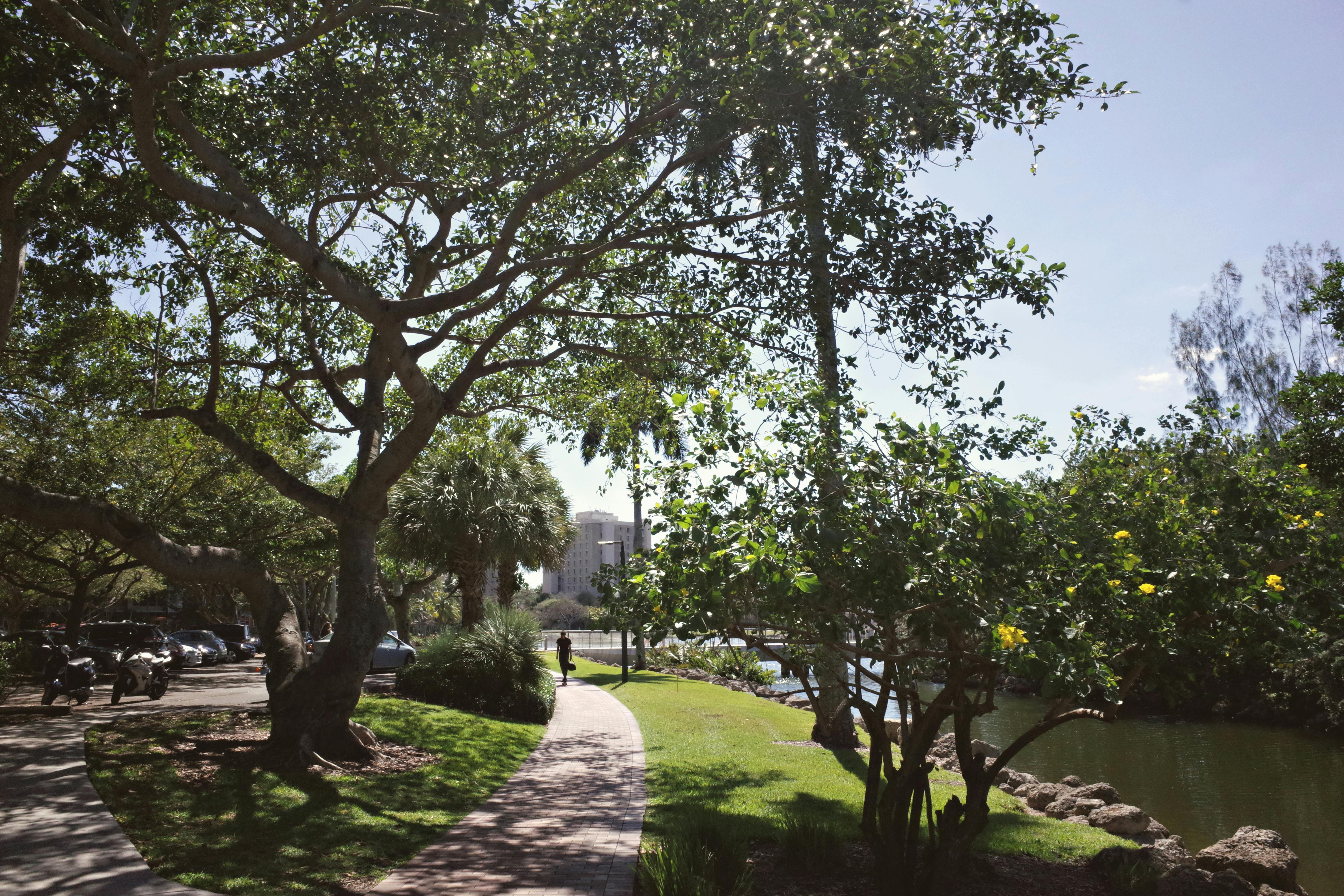 Florida removes sociology requirement from general education over bias concerns — Photo by DΛVΞ GΛRCIΛ on Pexels
