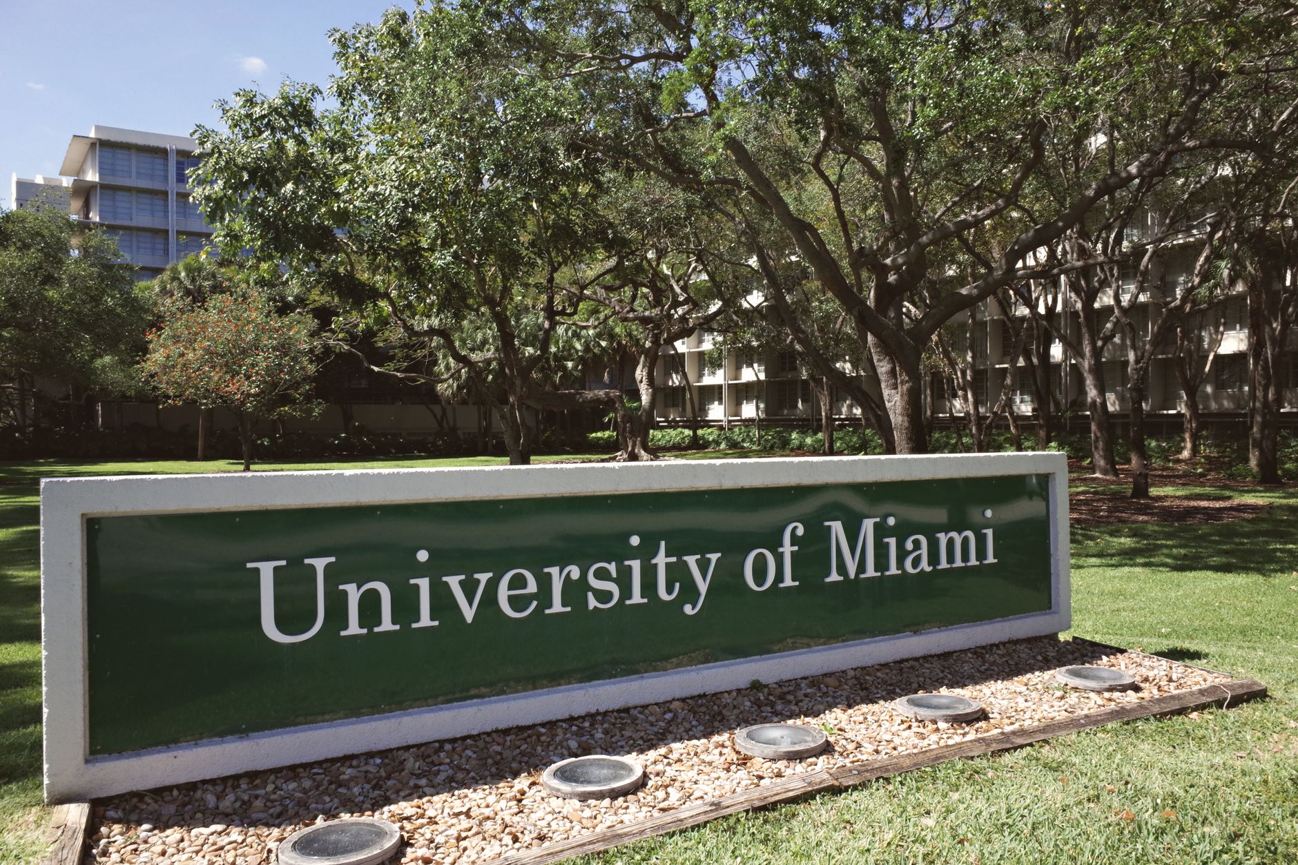 Outdoor view of the University of Miami entrance with lush greenery during the day.
