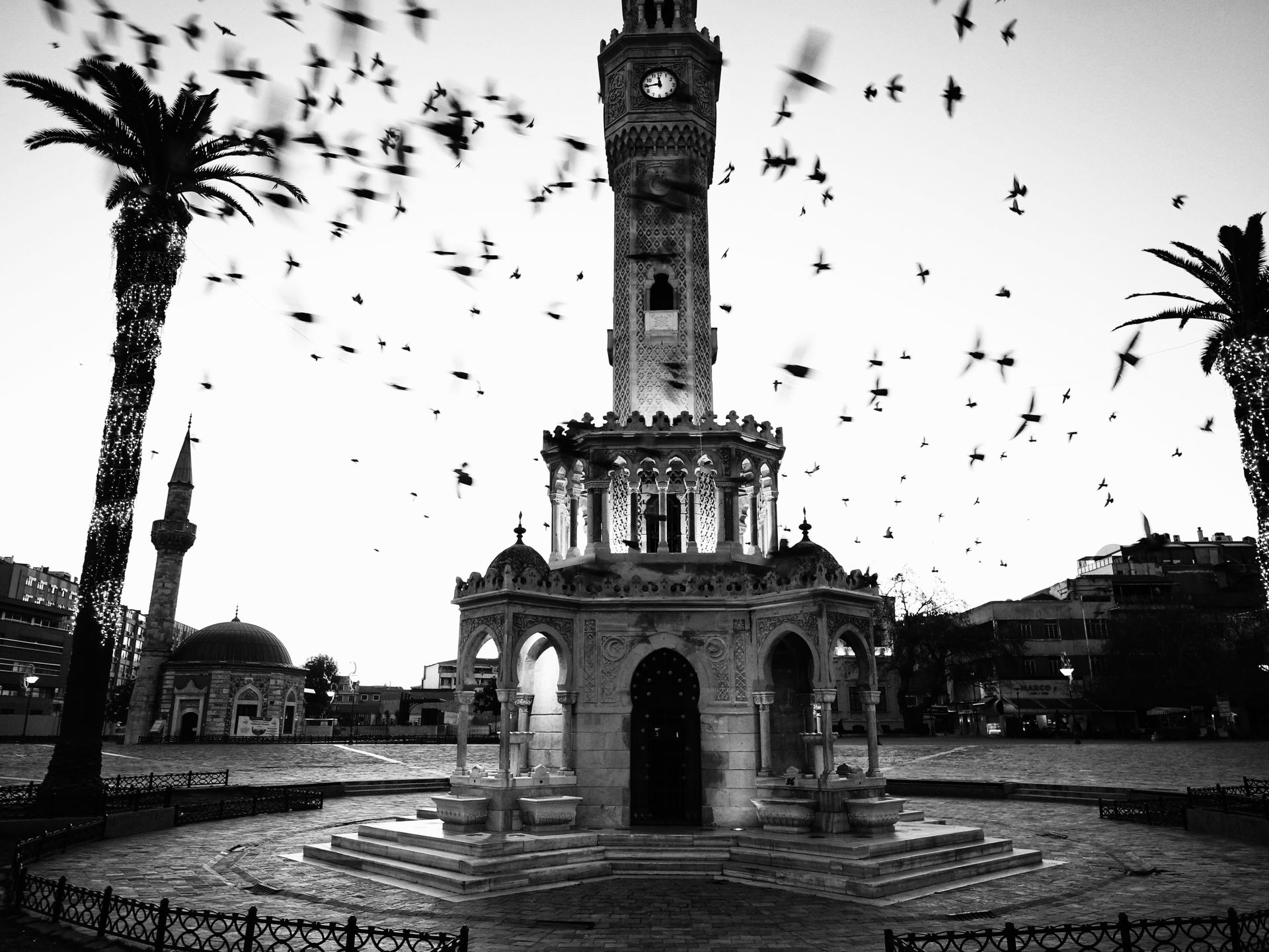 Elegant İzmir Clock Tower surrounded by flying birds in a dramatic monochrome scene.