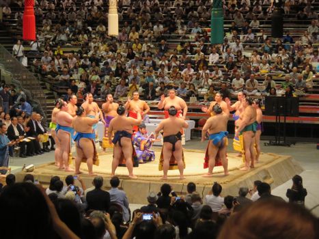 Sumo tournament (March/Sep) — Osaka