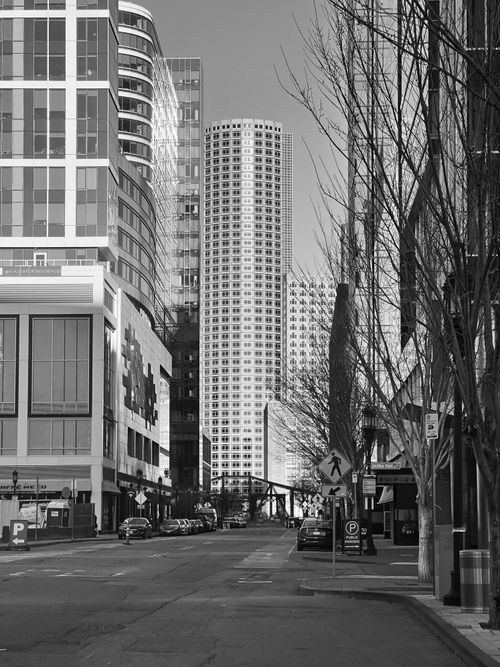 Free A modern city street view in monochrome, featuring towering skyscrapers and urban architecture. Stock Photo