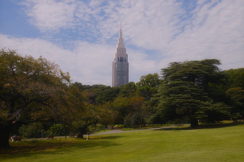 Shinjuku Gyoen lawn with the NTT Docomo Yoyogi Building behind, Tokyo