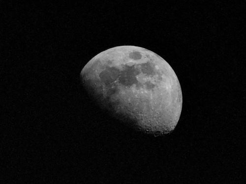 Free Detailed photo of the moon in a high contrast black sky, capturing lunar surface features. Stock Photo