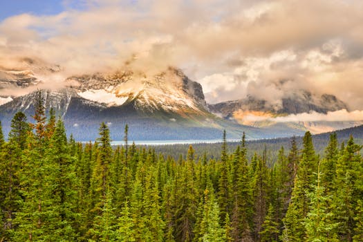 Stunning sunrise view of snow-capped mountains and dense forest in Banff National Park, Alberta, Canada.