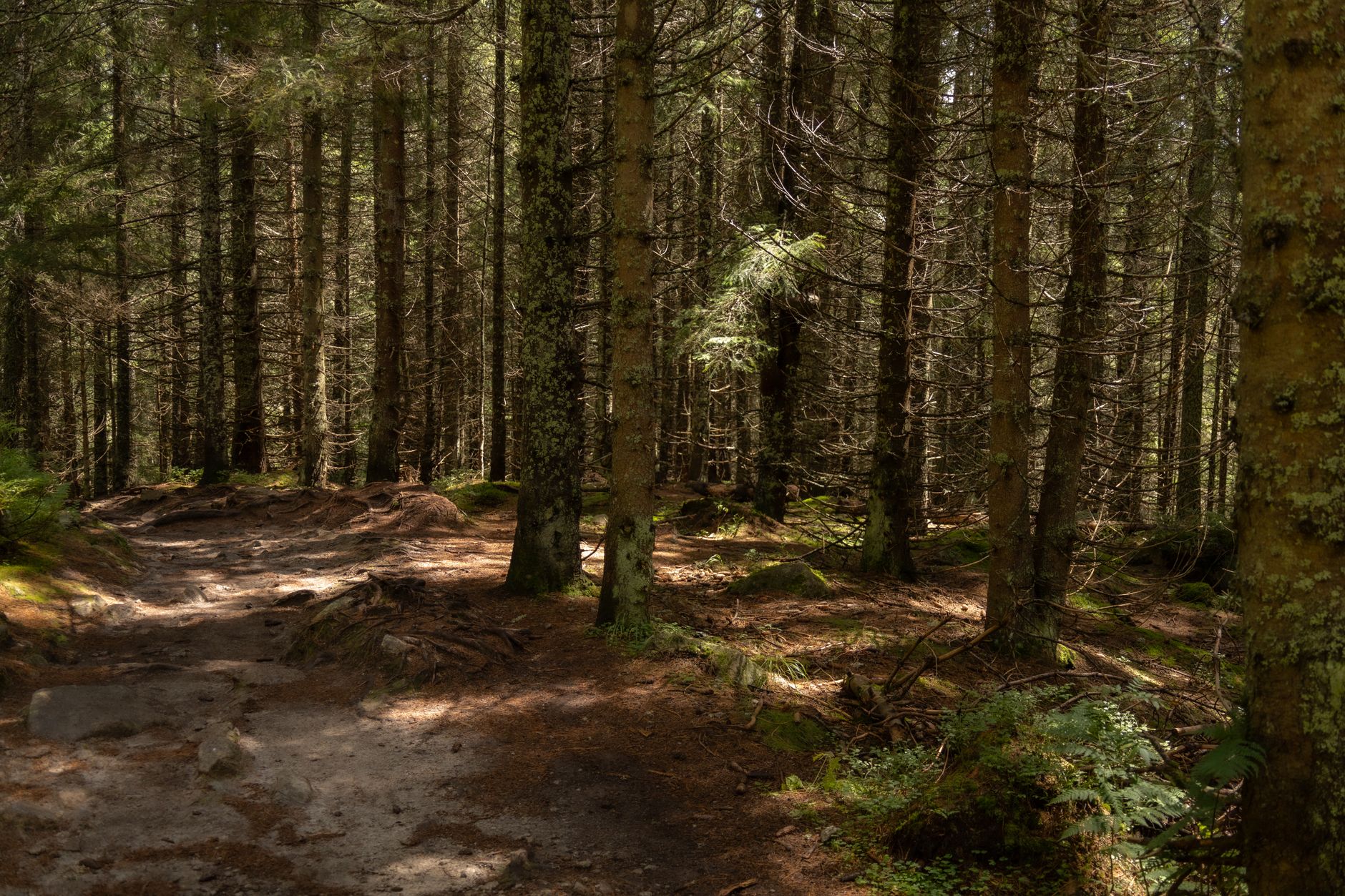 La route bleue - Rivière Saint-François - Saint-François