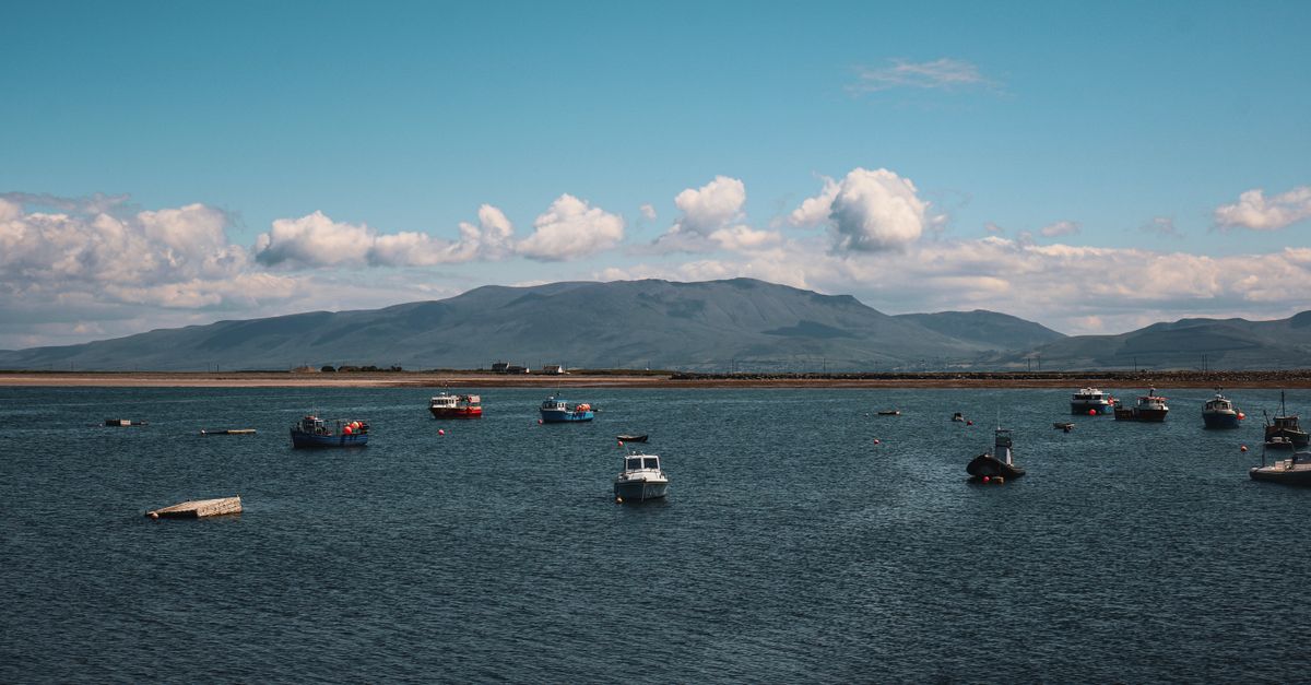 oranmore maree
