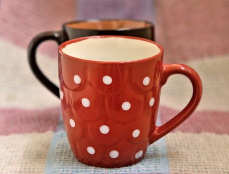 Canecas de Porcelana Decorativas: Beleza e Funcionalidade para o Dia a Dia - imagem 3