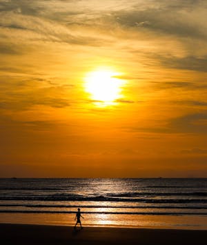 Nude Beach Walking Photos, Download The BEST Free Nude Beach Walking