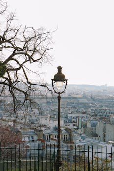 A scenic view of Paris rooftops from Montmartre featuring a vintage street lamp and bare tree branches.