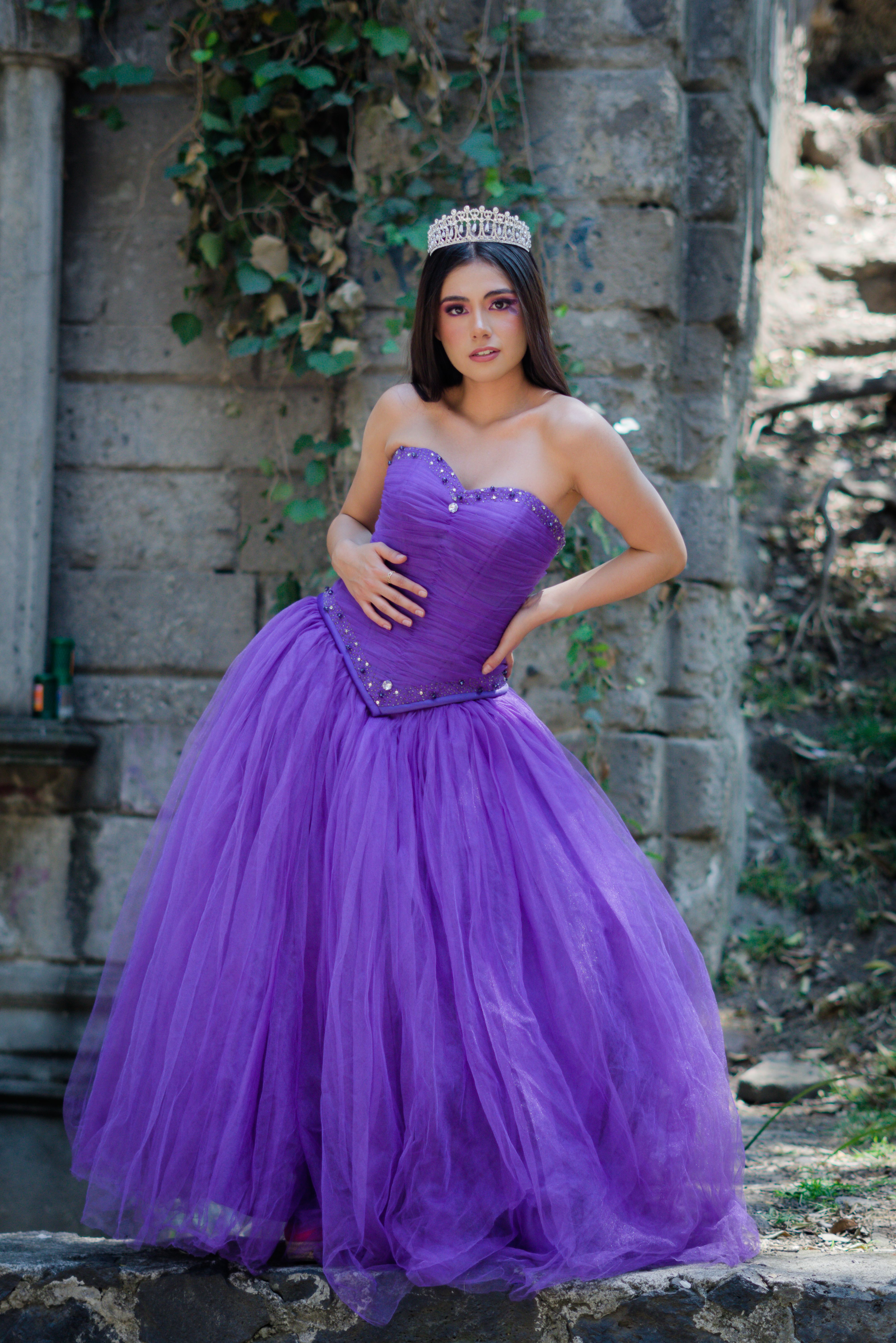 Elegant Woman in Purple Gown with Crown Outdoors · Free Stock Photo