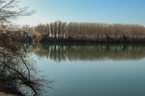 Free Peaceful winter landscape with trees reflecting on a serene lake under a clear sky. Stock Photo