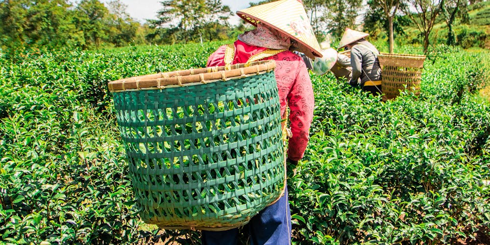 Vua Làm Chủ Cuộc Chơi - Khám Phá Thế Giới tải mg188