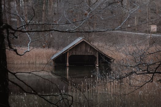 A rustic boathouse reflected in a tranquil winter lake, surrounded by reeds and bare trees.