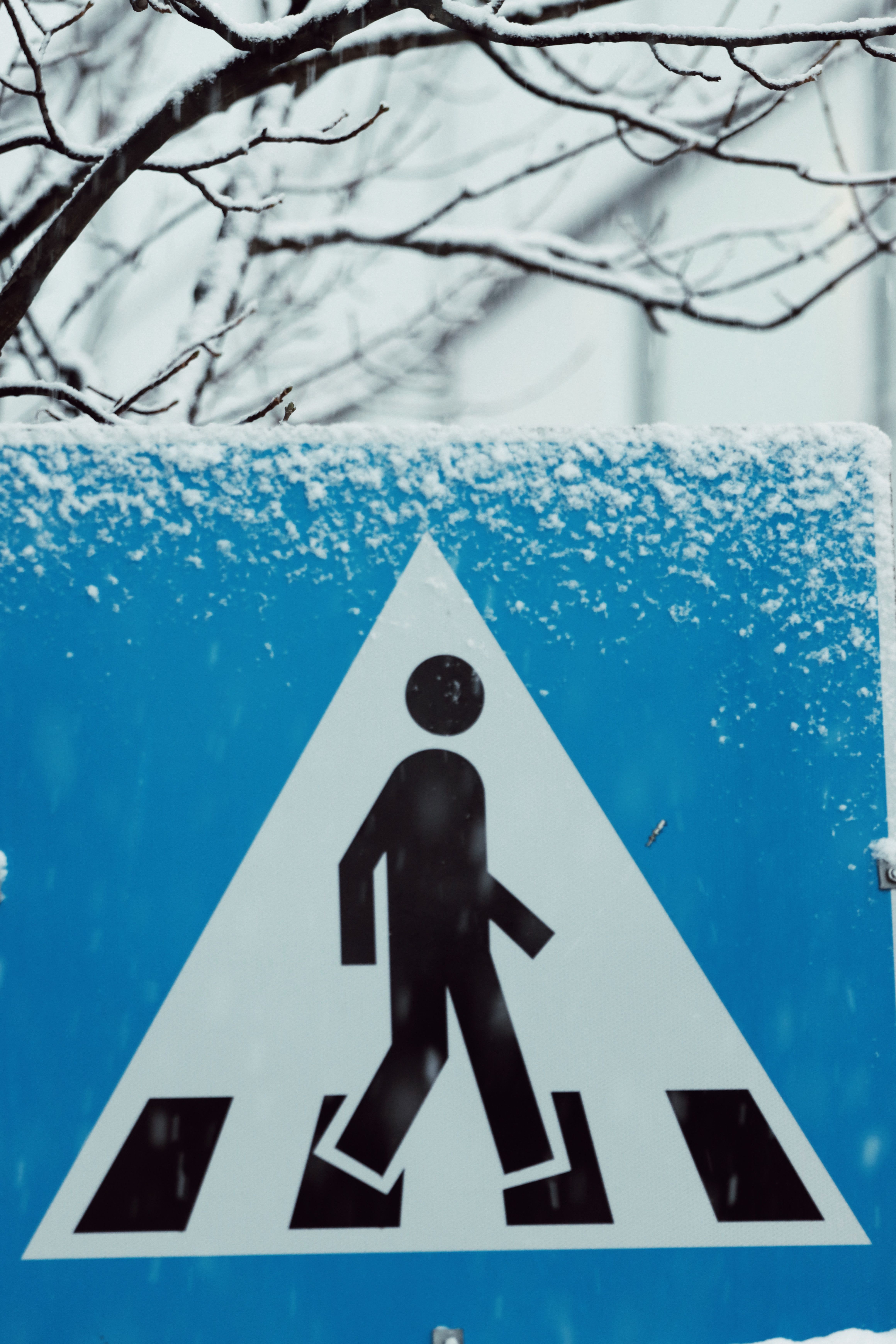 Snow-Covered Pedestrian Sign in Tromsø · Free Stock Photo