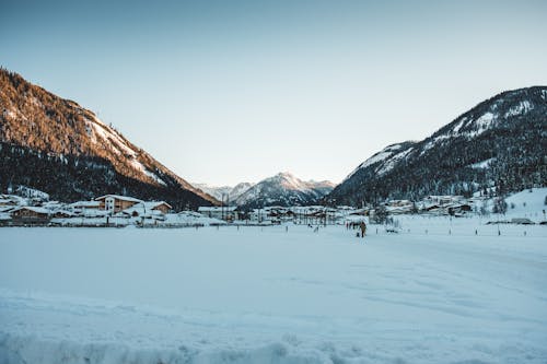 Free stock photo of frost, landscape, mountain