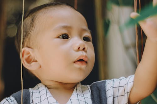 Free Photo Of A Little Boy Stock Photo