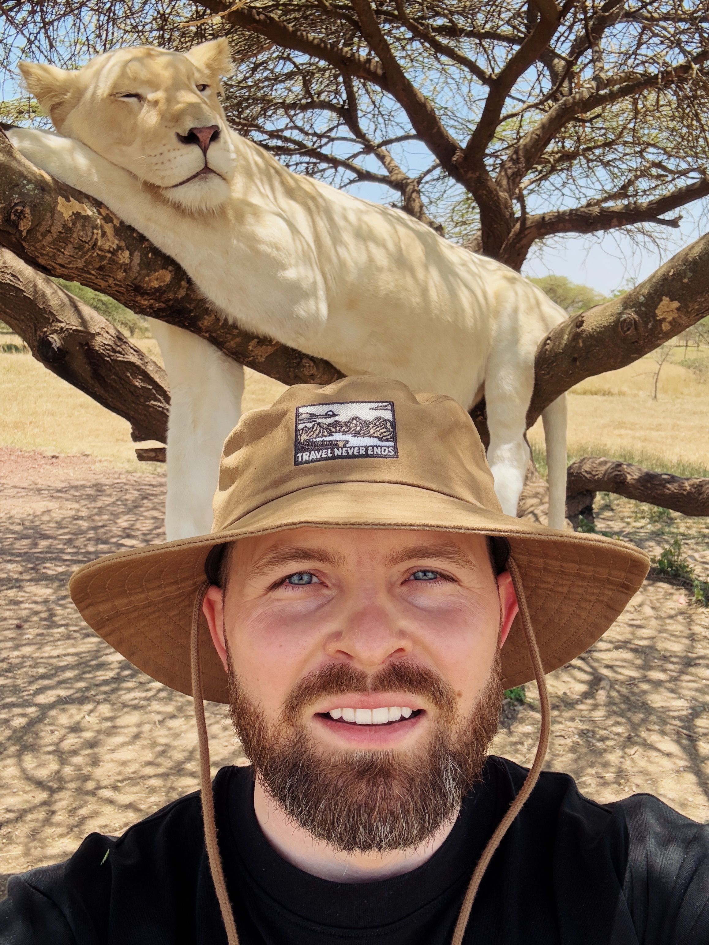 A man with a hat takes a selfie under a white lion resting on a tree in Kilimanjaro, Tanzania.