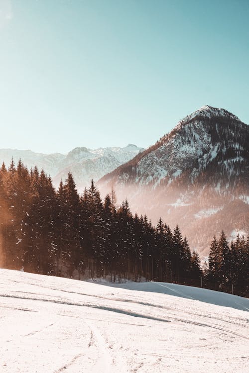 Free stock photo of frost, landscape, mountain