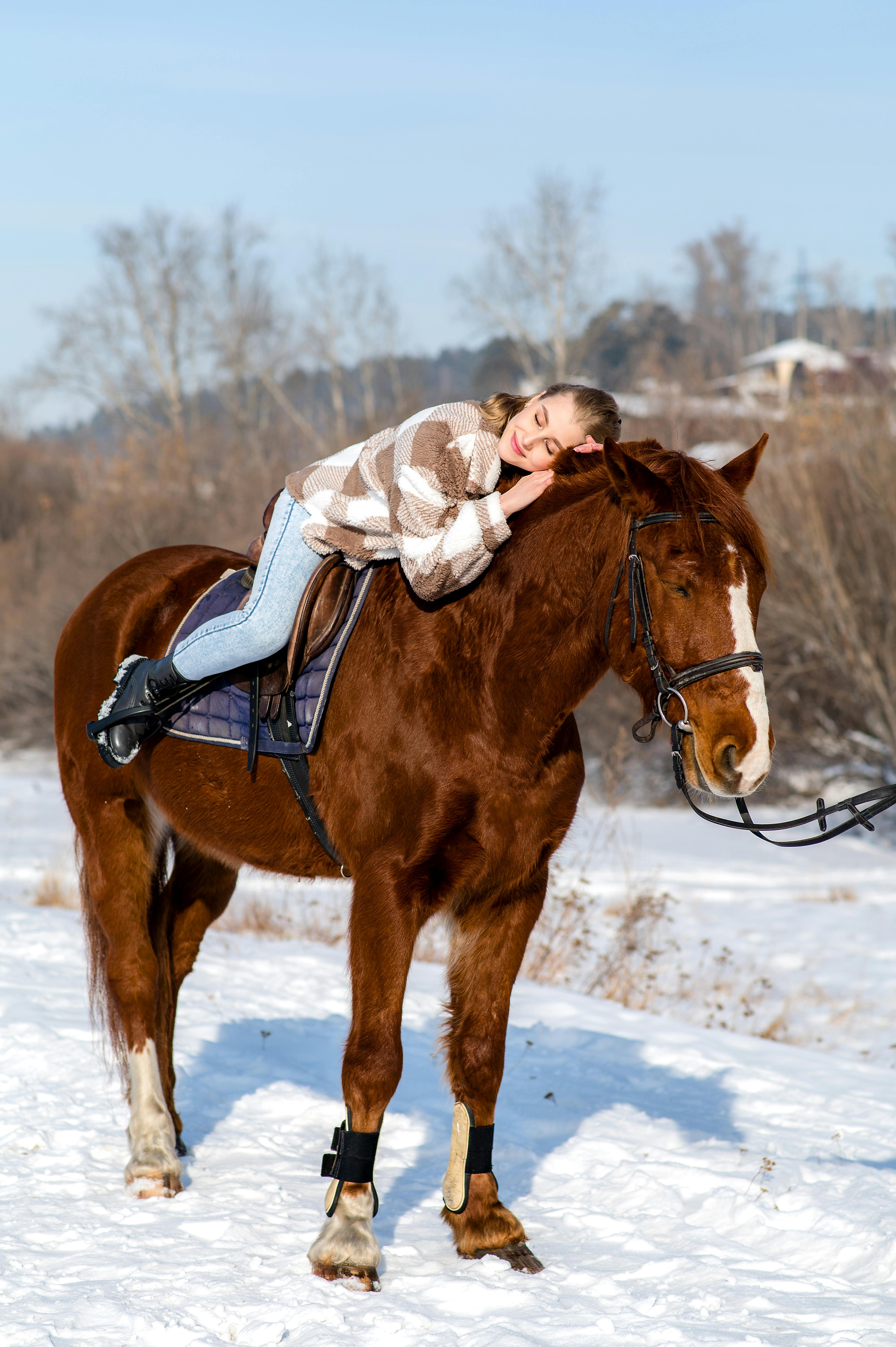 Young woman resting on a horse in a picturesque winter landscape, surrounded by snow.