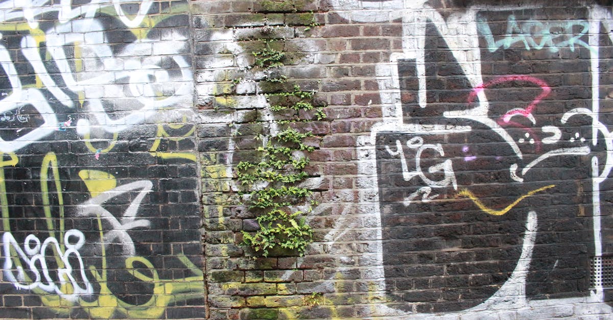 Free stock photo of art, brick wall, graffiti street art