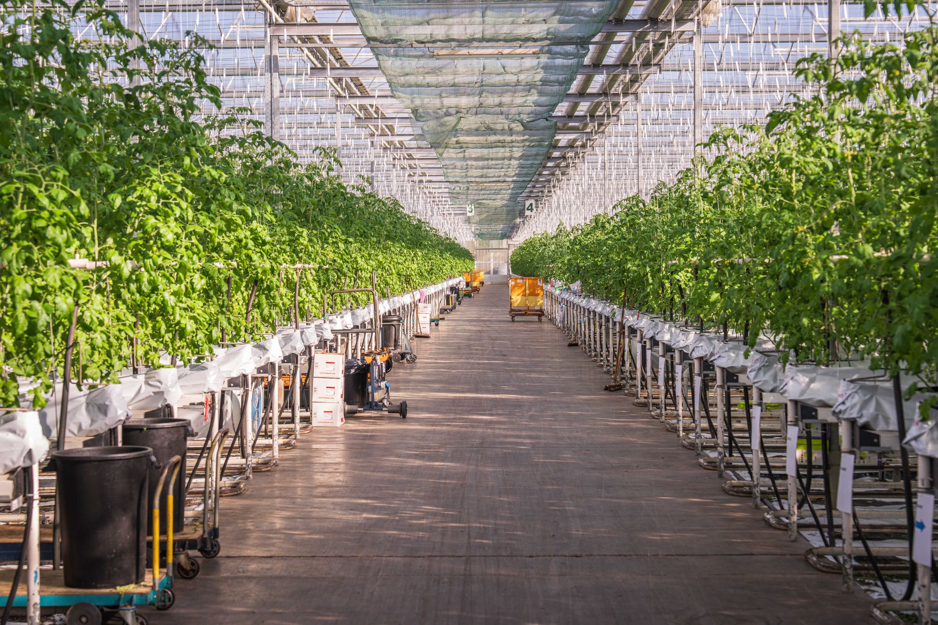 Farm Management Software Market Growth Trends Shaping Smart Farming Future
