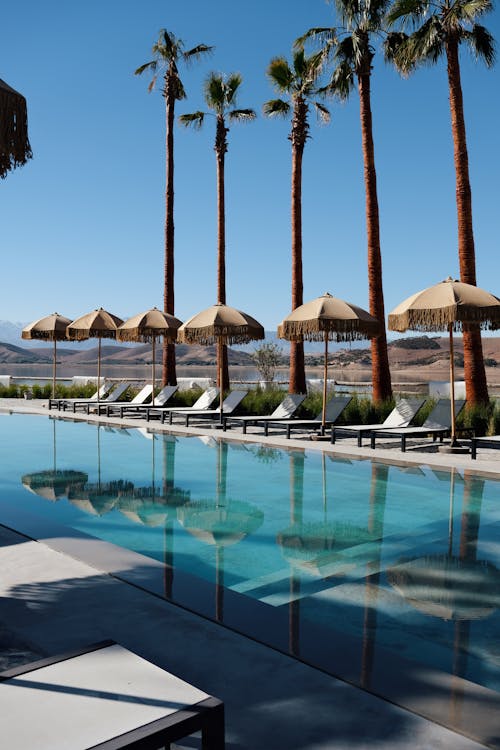 Free Stunning poolside scene with palm trees and umbrellas in Aguergour, Marrakech-Safi, Morocco. Stock Photo
