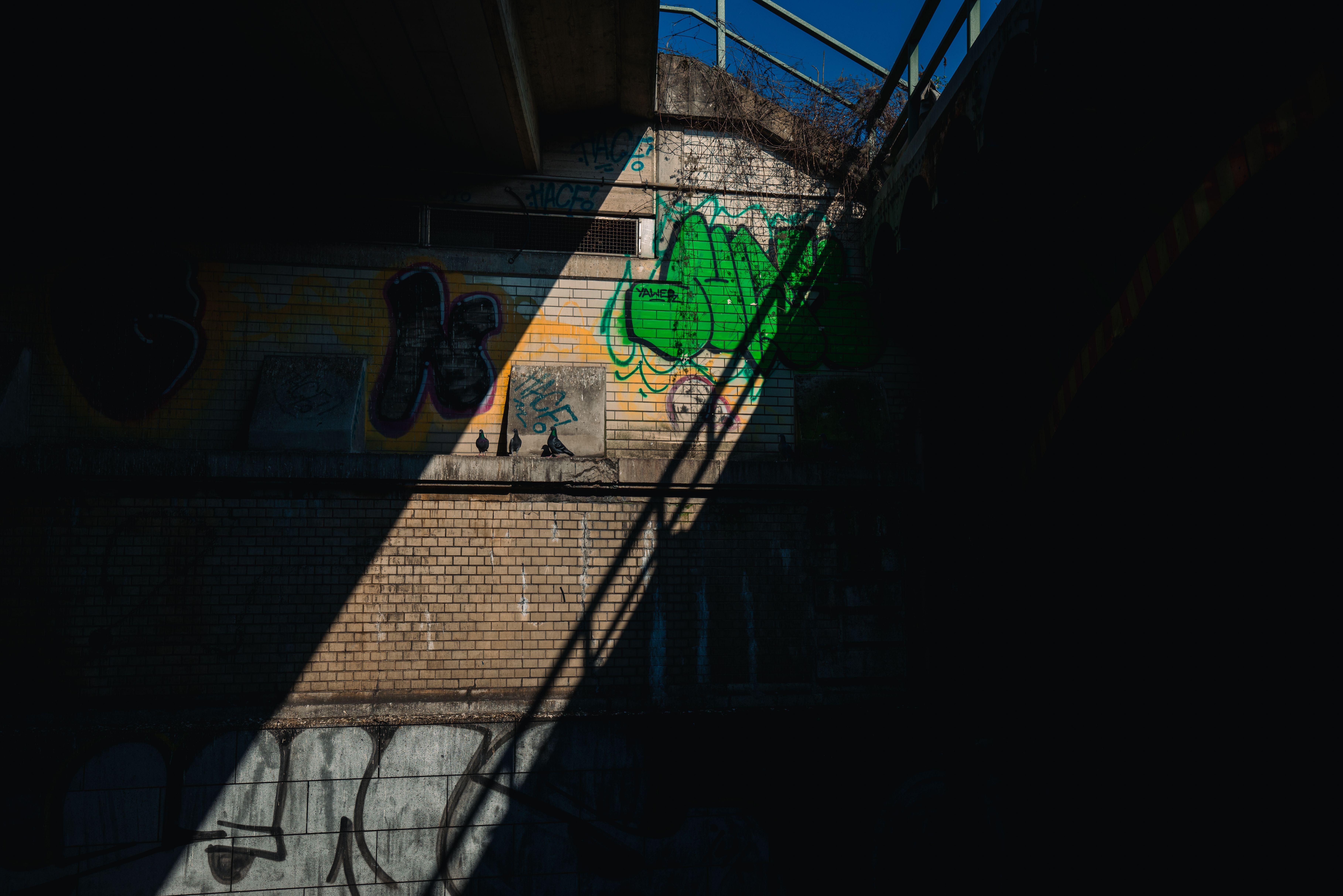Painters and Decorators in Hackney Marshes — a freshly painted, spotless finish