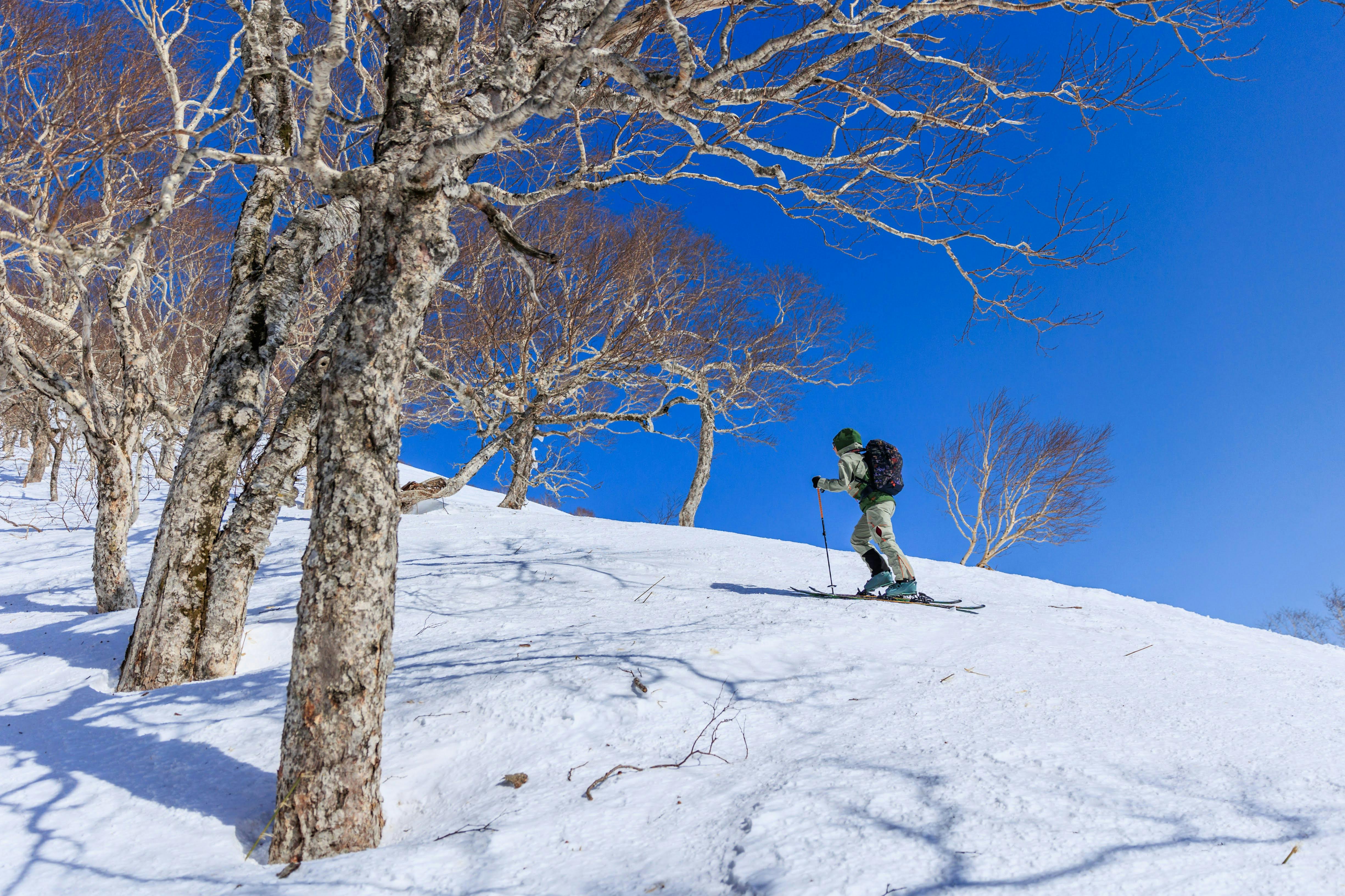 Skier navigating a snowy mountain slope under clear blue skies.