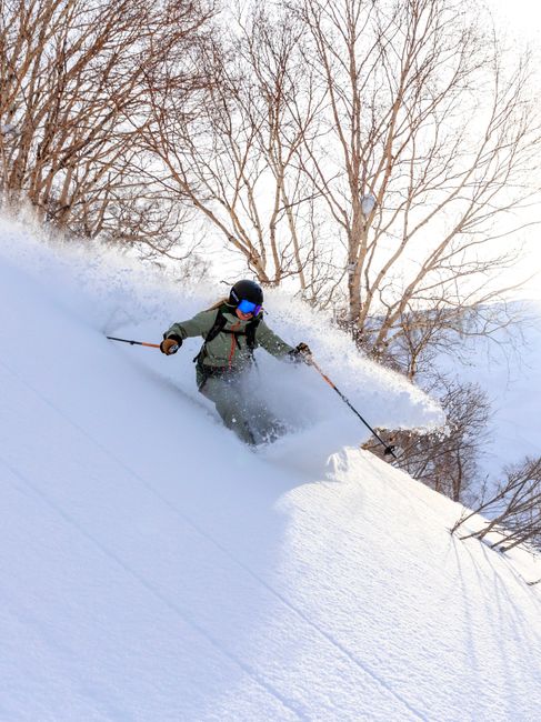 A skier navigates fresh powder on a snowy slope with bare trees in the background.