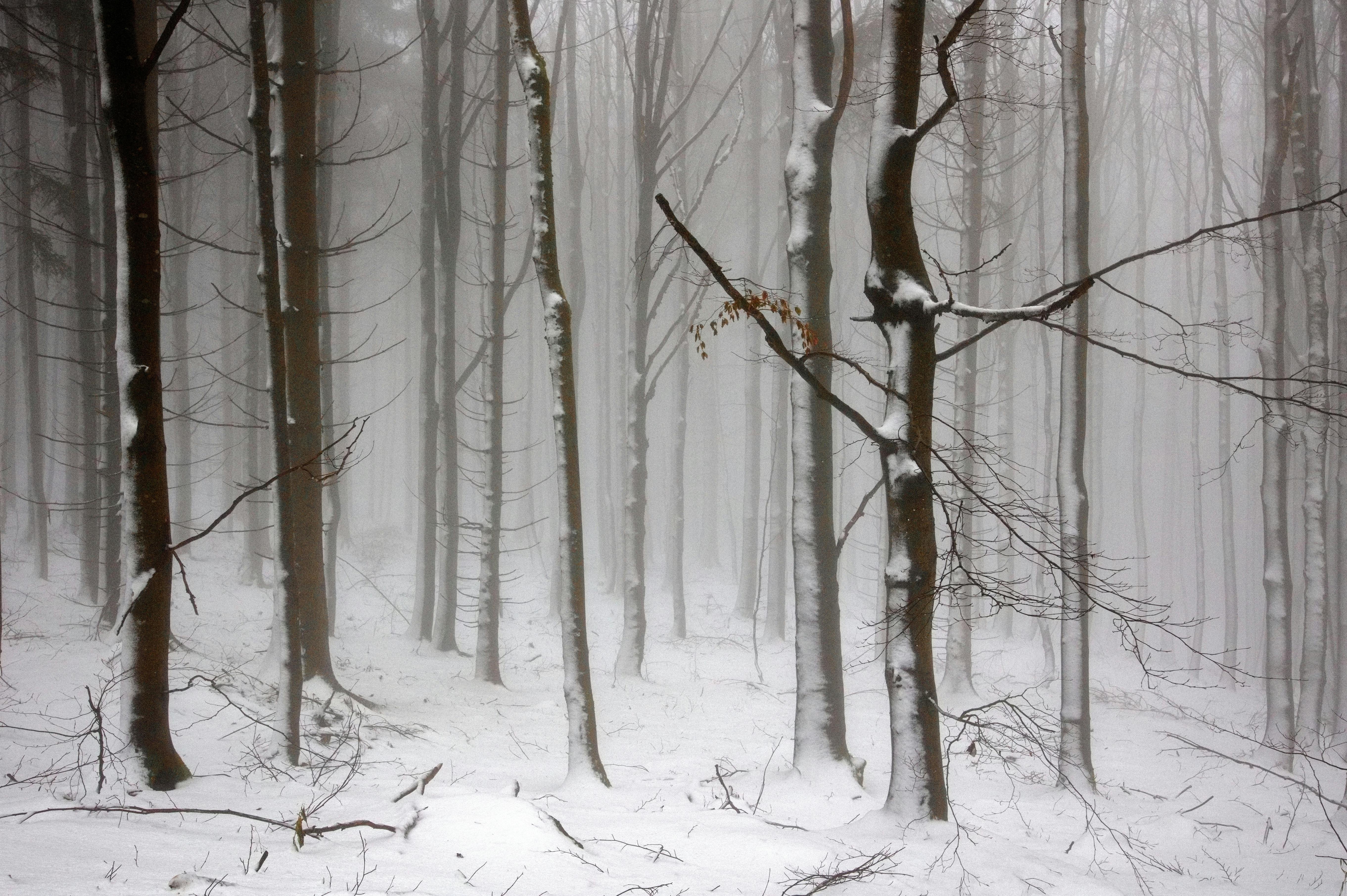 Thick Fog Grips Tennessee As Sunday Night Chill Approaches