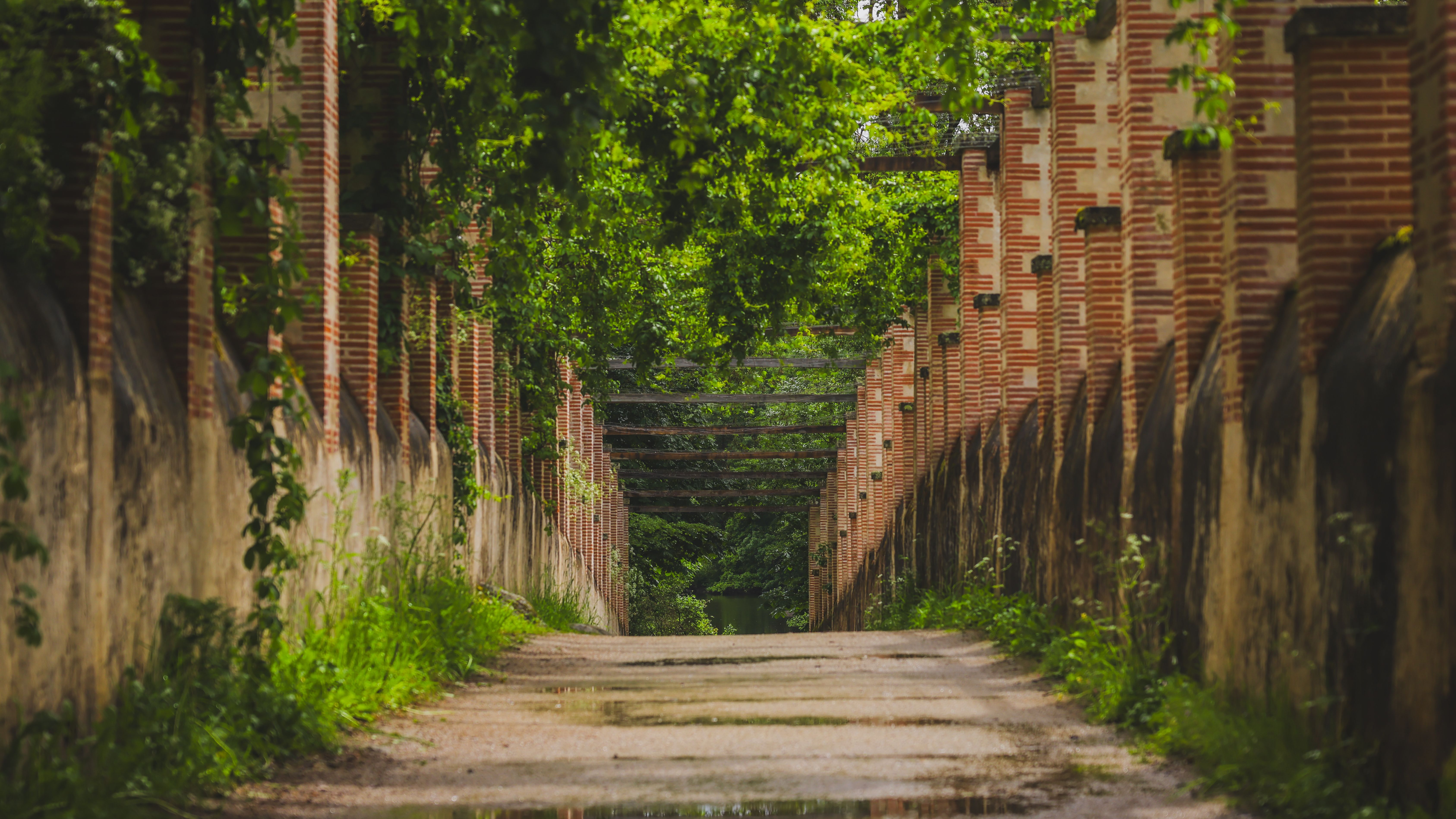 La Strada Coperta (Covered Ramp)