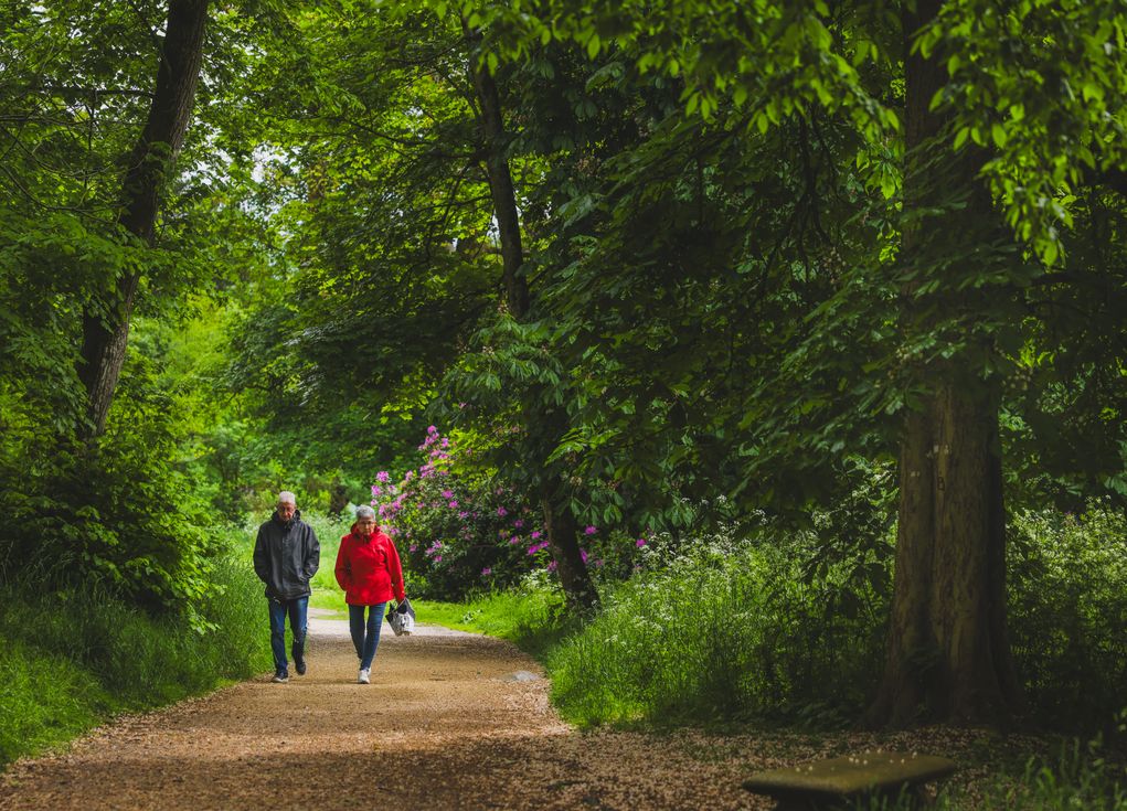 Online dating: starting a conversation on a niche platform