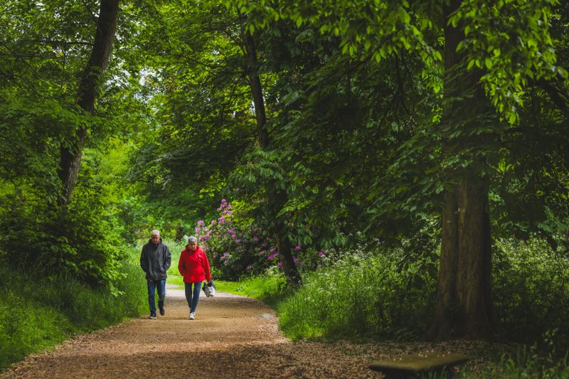 A senior couple enjoys a peaceful walk along a green, tree-lined path in Clisson, France.