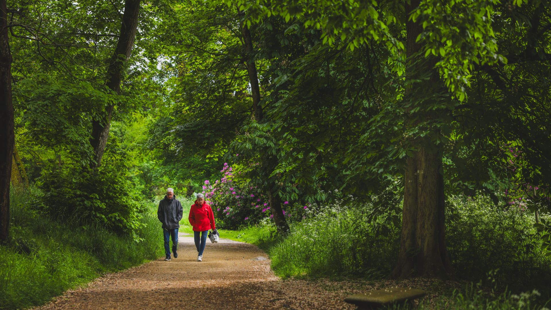 A senior couple enjoys a peaceful walk along a green, tree-lined path in Clisson, France.