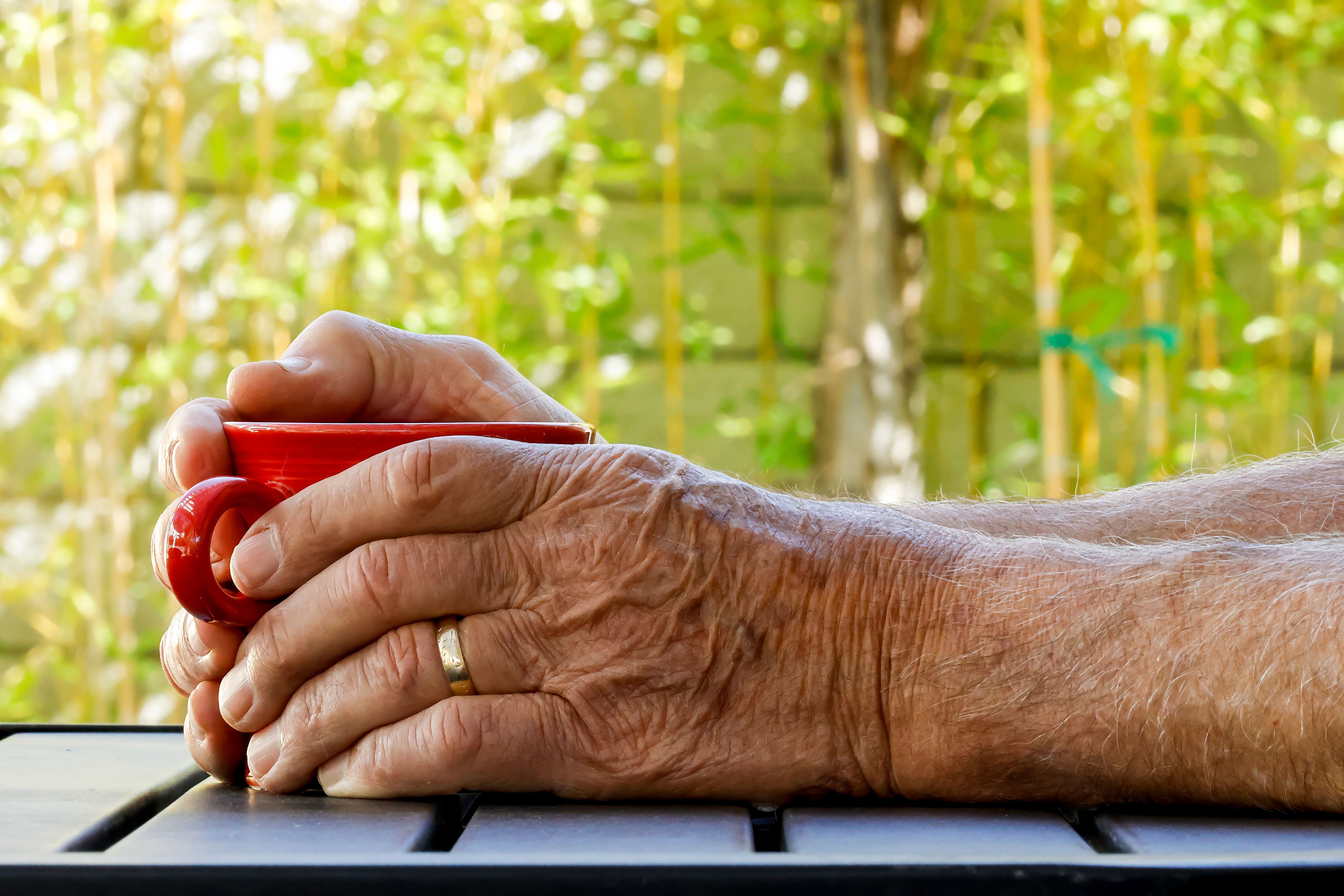 Beyond Generic Advice: How Personalized Longevity Protocols Are Redefining Anti-Aging in 2026 – Your Ultimate Guide to Healthspan Extension!