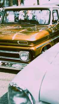 Vintage cars in Berlin shimmer in summer sunlight, capturing a retro vibe.