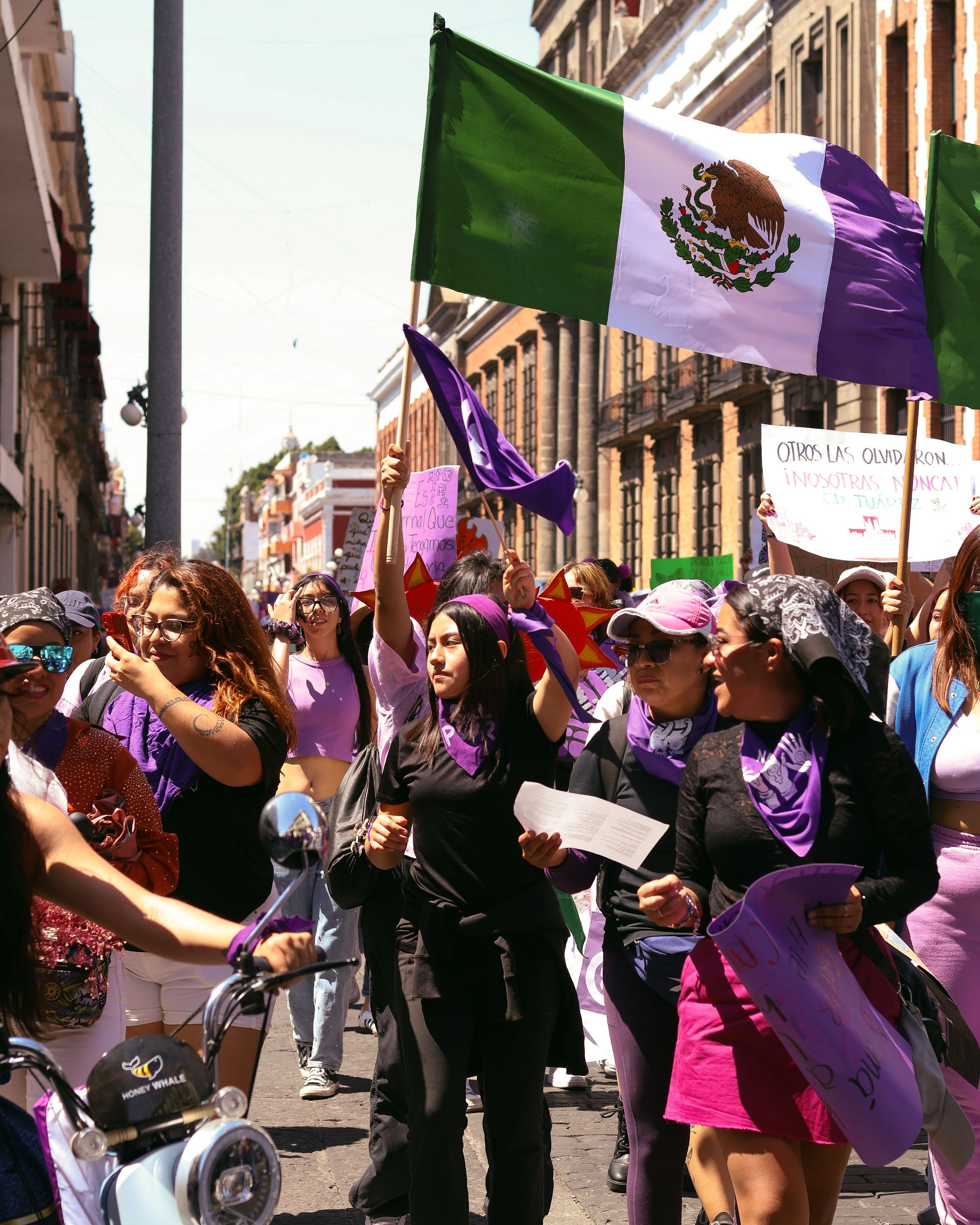 Women's Rights March in Mexico City · Free Stock Photo