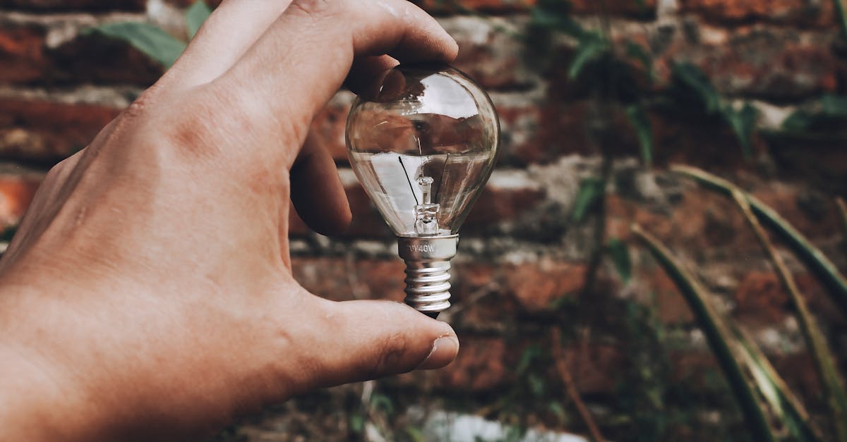 How Sustainable Lighting Solutions Impact the Environment