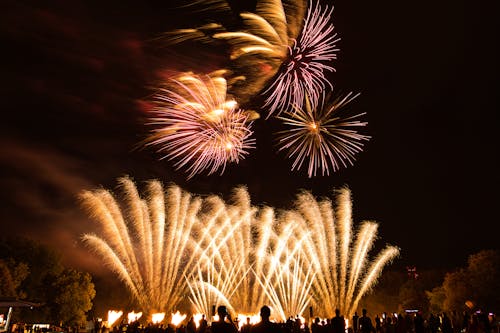 Fireworks Display during Night Time