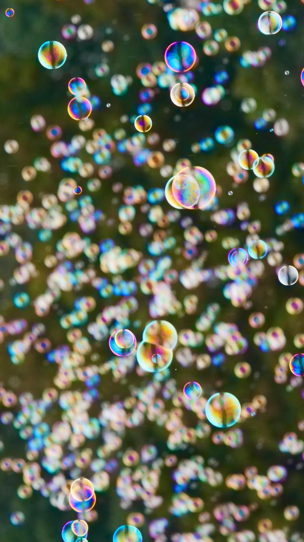 Bubbles Galore Bubbles Galore
