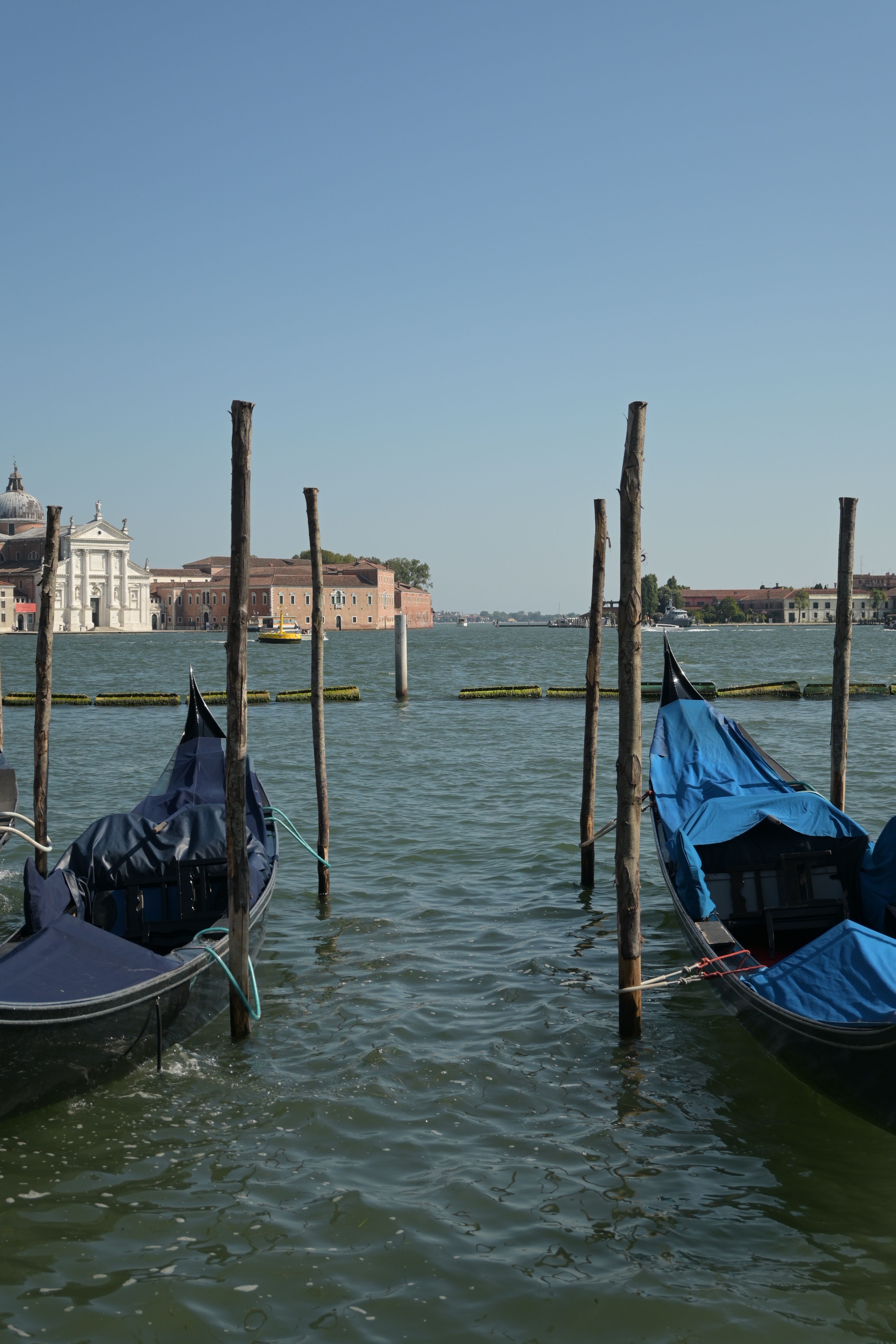 Serene view of gondolas and historic architecture in Venice, Italy on a clear day.