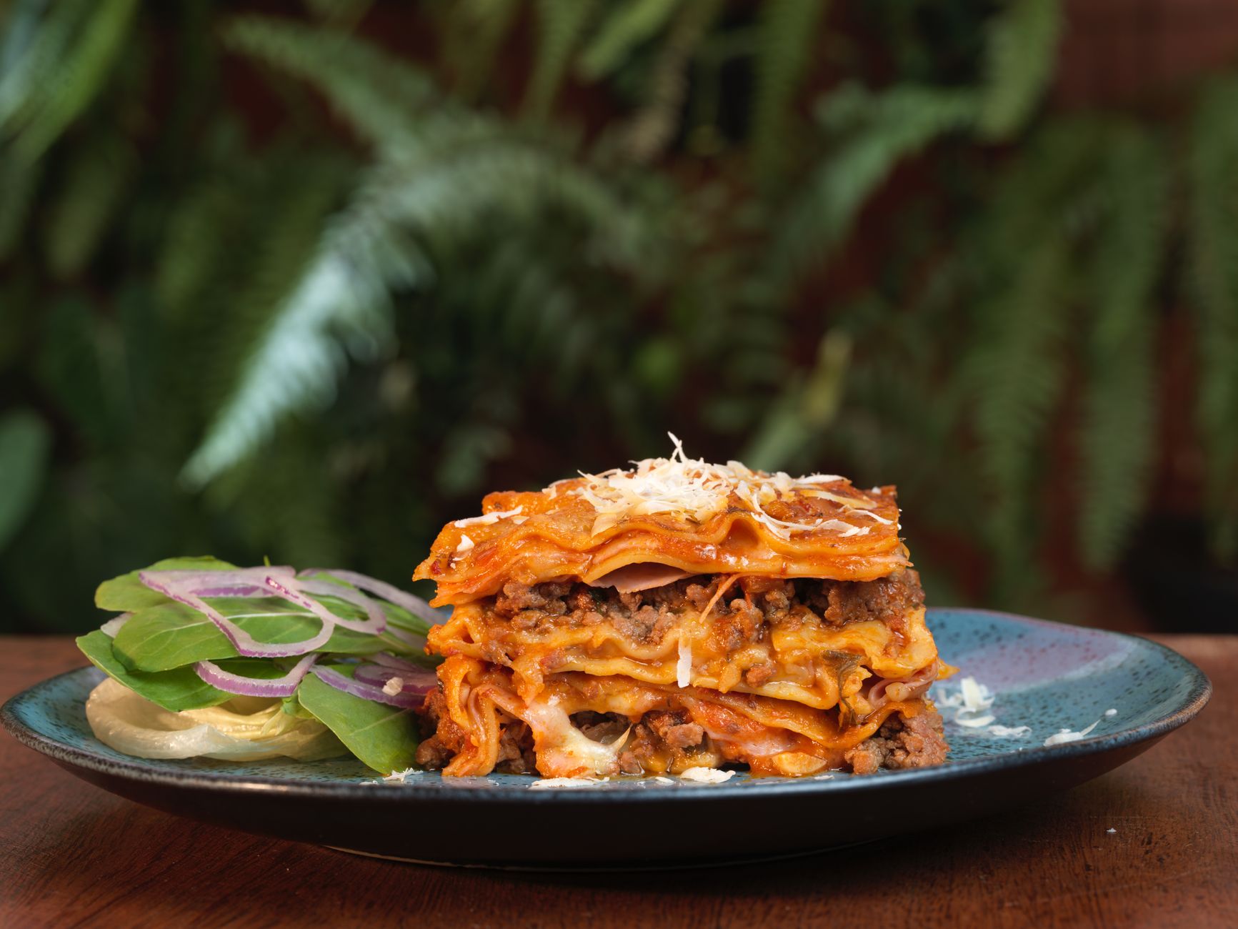 Chicken spinach lasagna freshly baked
