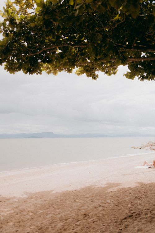 Free Peaceful sandy beach scene with lush green leaves framing a calm ocean view. Stock Photo