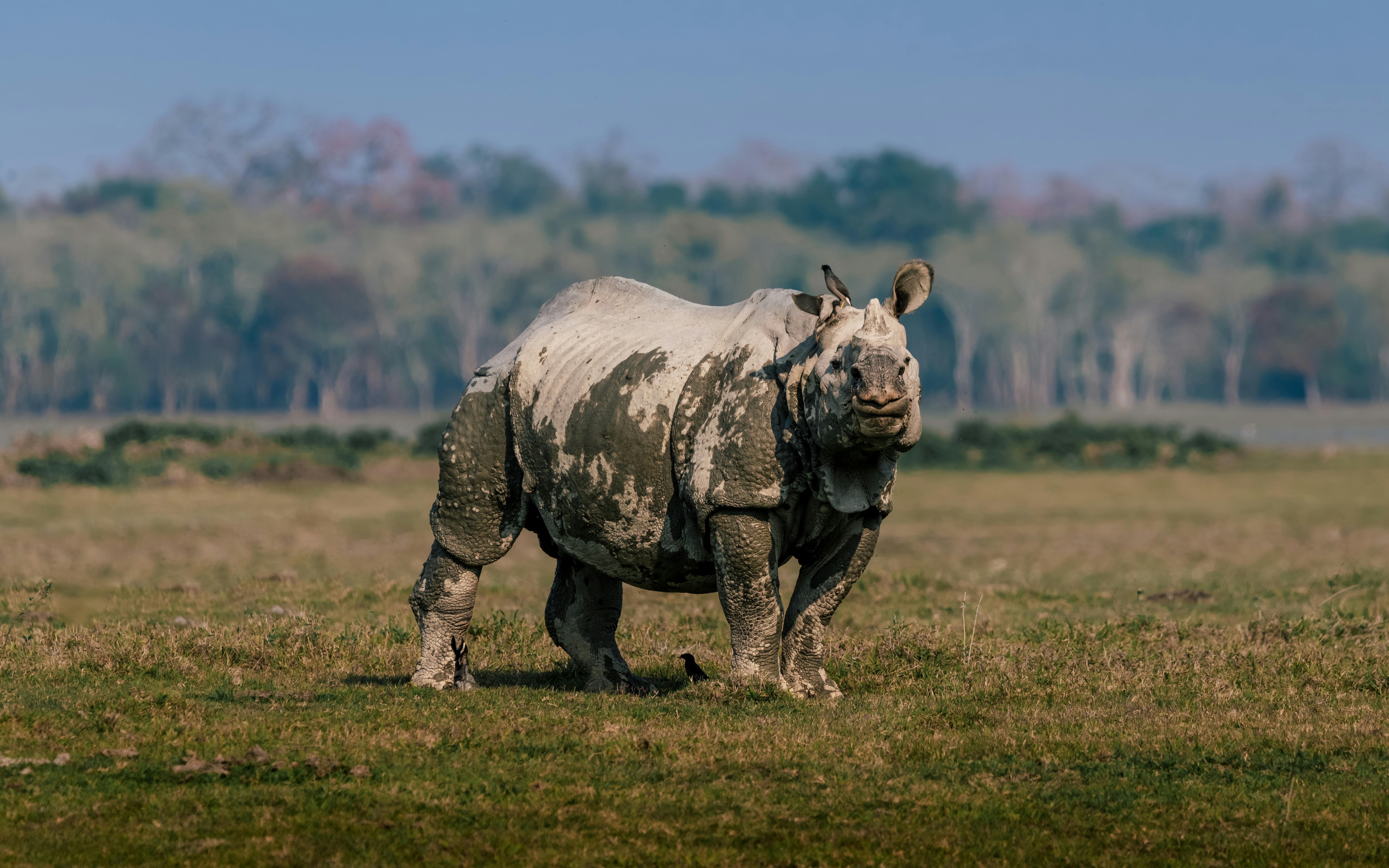 Big Horn Outdoor Adventure Show Giveaway 2026 | Contest Archive — Photo by Banhisikha Banerjee on Pexels
