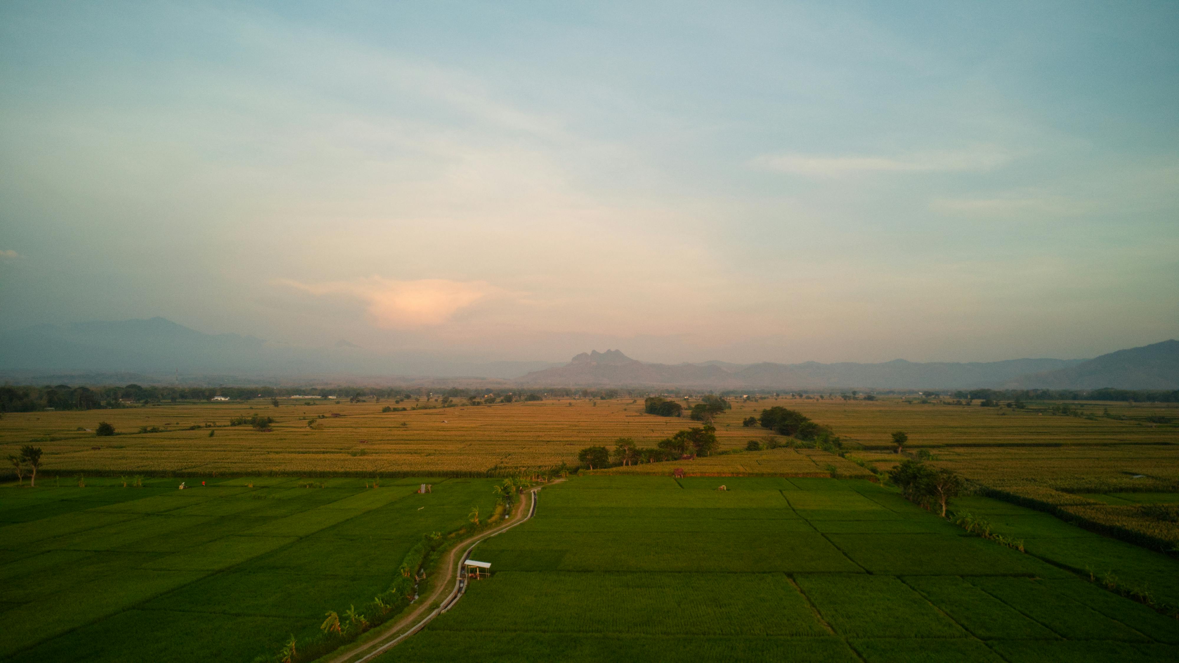 Dean Koontz - Ticktock (V2.0)