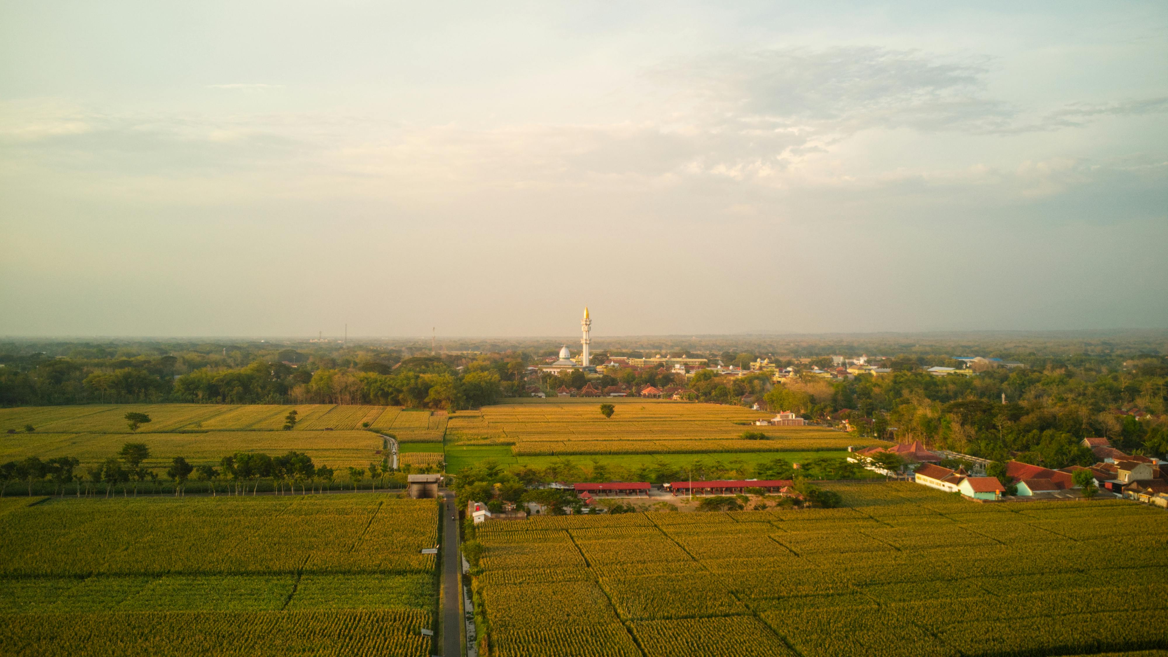 Dean Koontz - Seize The Night (V2.0)