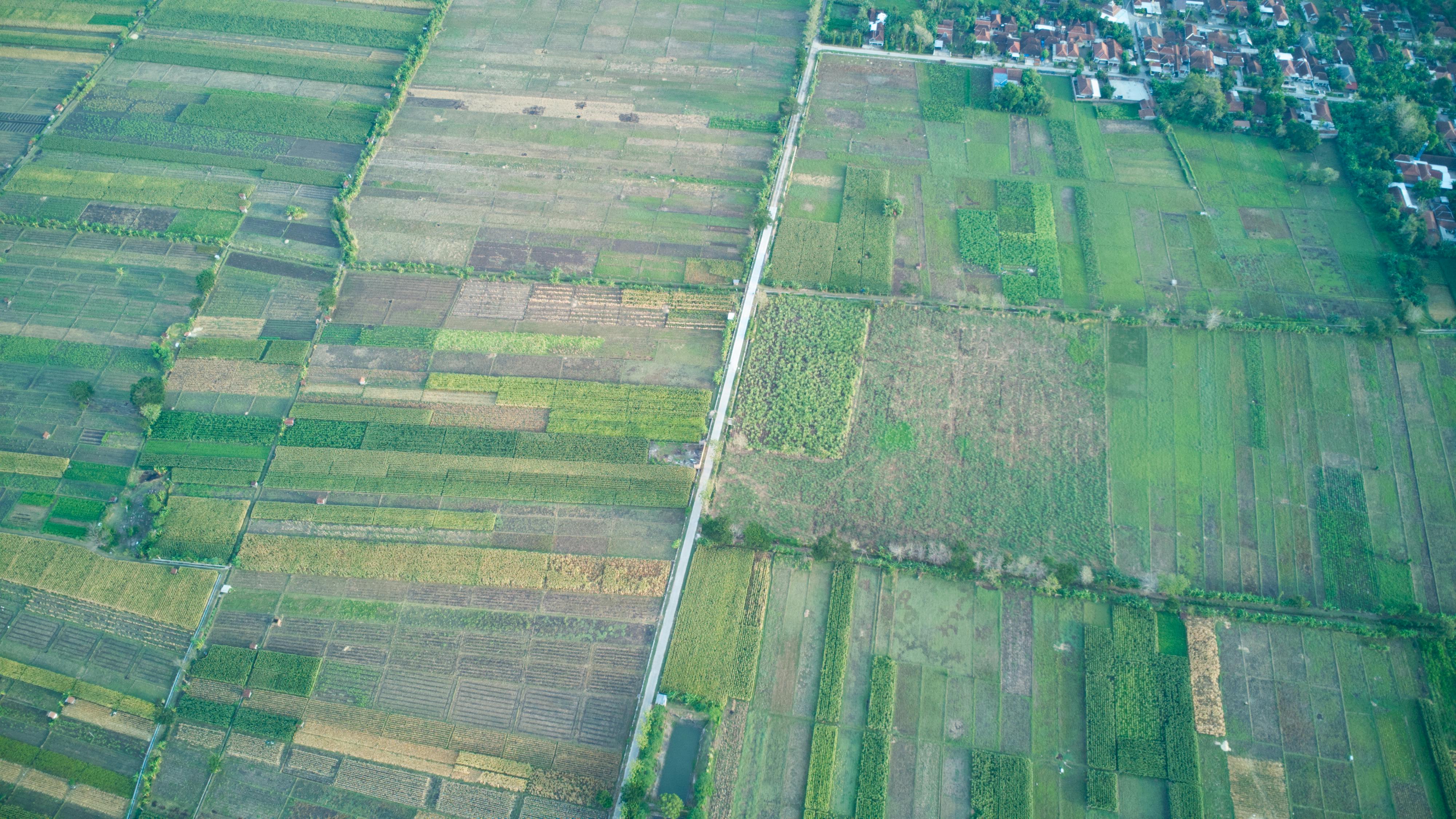 Dean Koontz - Ticktock (V2.0)