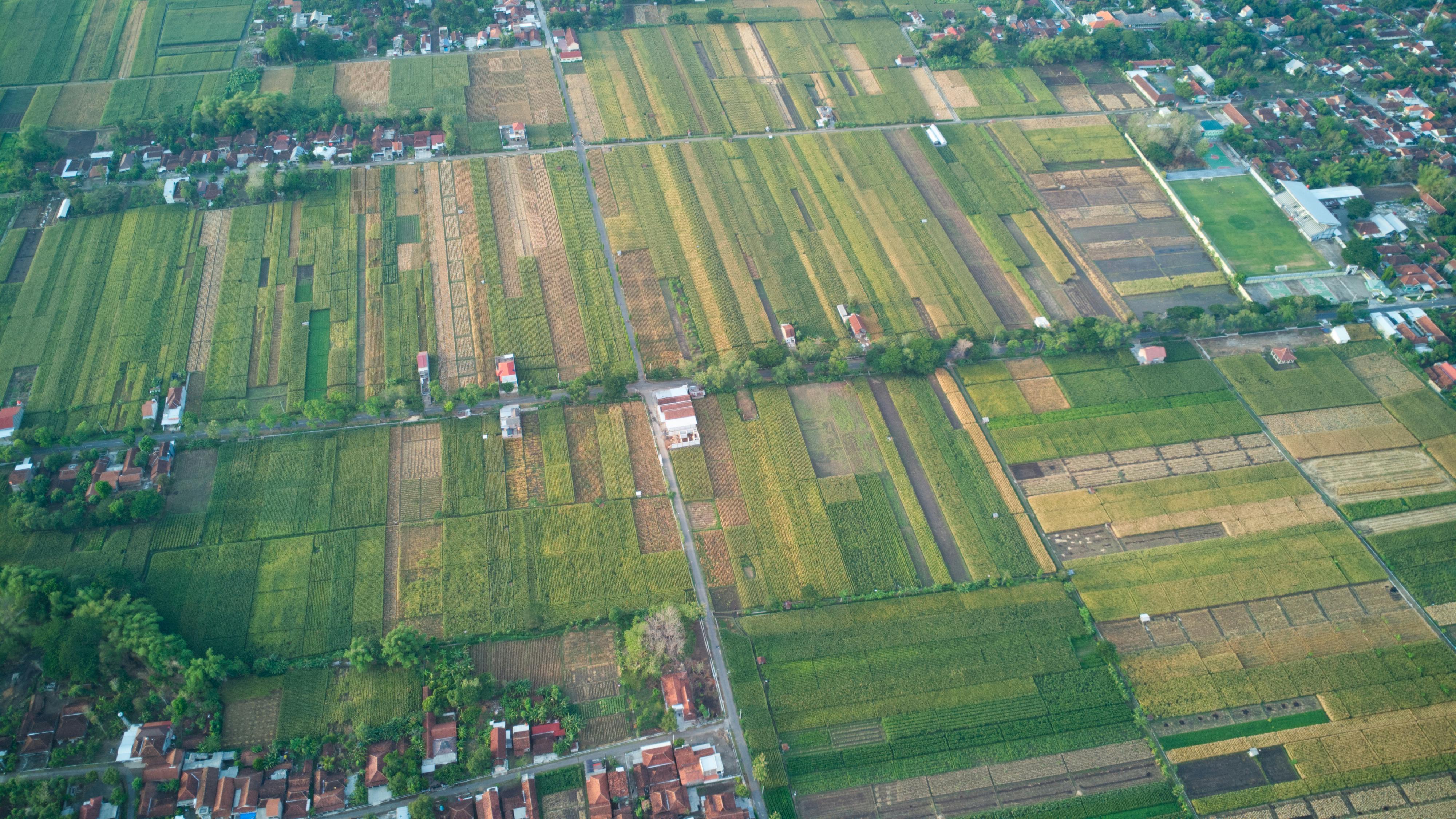 Dean Koontz - Coldfire (V2.0)