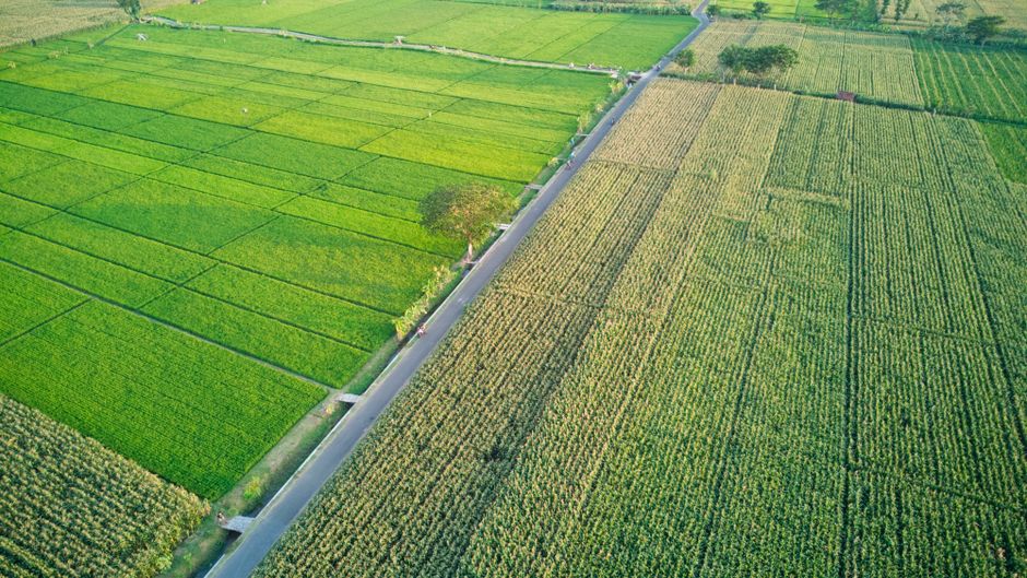 1. A Land Sculpted by Agriculture 1. A Land Sculpted by Agriculture